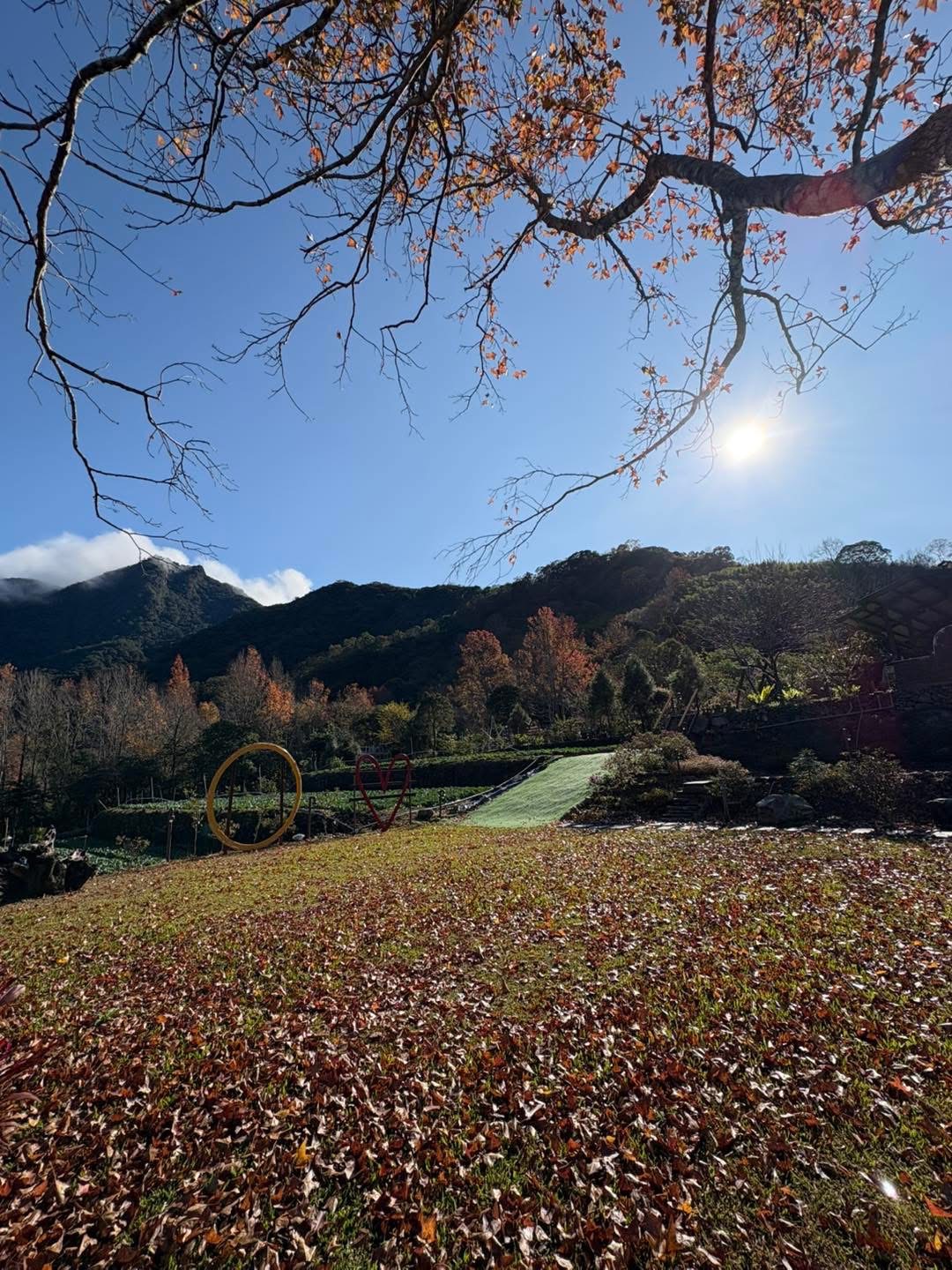 尖石文萱居 秋季楓紅