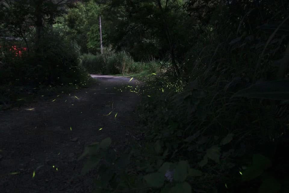 尖石文萱居 夏季避暑
